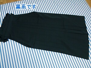 おしゃれな女性用袴 中古　お安くどうぞ(天-3)