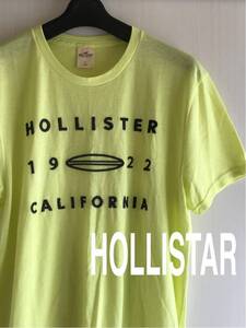 ホリスター HOLLISTAR 半袖 Tシャツ メンズ S170サイズ ファッション 刺繍 ！▽