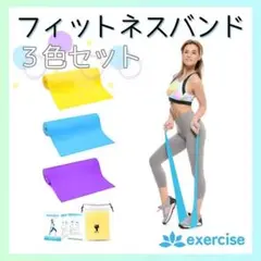 【おうちでエクスサイズシリーズ】ストレッチバンド ヨガ 肩甲骨 足 フィットネス