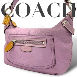 極美品　COACH コーチ　ショルダーバッグ　カメラバッグ　オールレザー