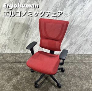 Ergohuman エルゴノミックチェア Fit ワークチェア オフィス R350