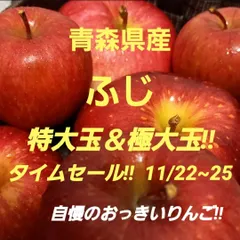 ★期間限定★青森県産 ふじ りんご 特大＆極大玉 家庭用 6~8玉 ㊹