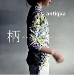 antiqua 花柄×ランダムドット×ボーダー柄トップス