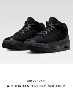 Nike Air Jordan 3 Retro "Black Cat"