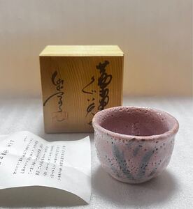 未使用 新品 安藤日出武 紅志野 ぐい呑 仙山窯 共箱 岐阜 美濃焼 志野 日本酒 酒器 おちょこ お猪口 盃 酒杯