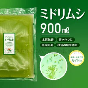 超濃縮　ミドリムシ　900ml　めだか　メダカ　針子　エサ 稚魚 ベタ　psb　 金魚　ミジンコ　クロレラ　ゾウリムシ の培養ガイド付き