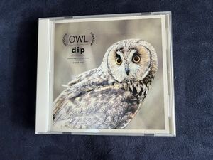 OWL / dip CD (帯あり) ヤマジカズヒデ