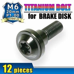 メール便OK！ M6×20 P1.00 チタンボルト ブレーキディスクボルト 12本 6mm 20mm ピッチ1.0 ヤマハ FJR1300A TDM900 FZS1000フェザー