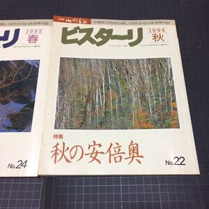 ビスターリ 1994秋 1995春 二冊セット 別冊山と渓谷 登山アウトドア