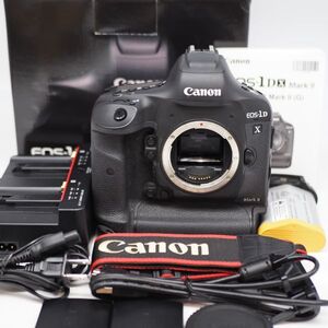 ■44000ショット■ CANON EOS 1D X Mark II ボディ 183034 ■極上品■