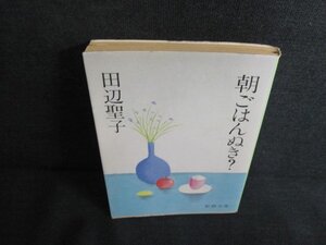 朝ごはんぬき？　田辺聖子　日焼け有/JDP