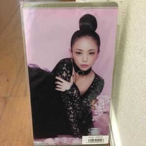 期間限定値下げ！★新品 未開封 安室奈美恵 マスクカバー マスクケースセット ファイナリー finally 25th ツアーグッズ