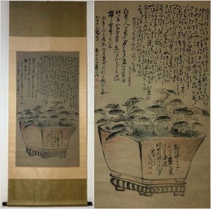 古美術 掛け軸 中国・清時代 「黄慎書」 紙本 【霊芝図】 立軸 書道 巻き物 肉筆保証 唐物 古画 画心122x67.5cm LT-250150