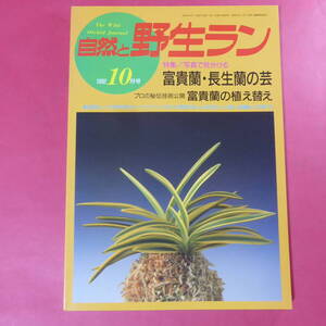 YN4-241219☆自然と野生ラン 1992年10月号　富貴蘭 長生蘭 アツモリソウ ※ 園芸JAPAN