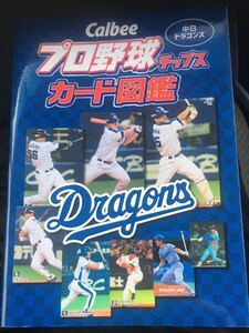 ☆本野球「プロ野球チップスカード 図鑑 中日ドラゴンズ」2018年発行立浪山本今中村吉見平田大島井端荒木宇野山崎森野小松鈴木小笠原大野