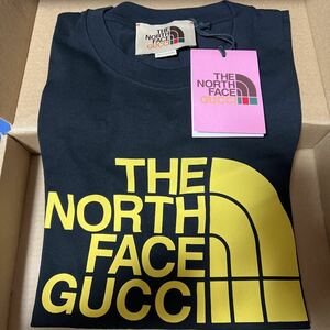 Mサイズ Gucci x The North Face Oversize T-shirt グッチ ノースフェイス Tシャツ 黒 コラボ balenciaga adidas supreme kaws