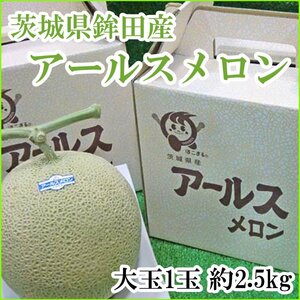 【Good】すぐ発送！茨城県産 JAほこたアールスメロン 特大1玉2.5～3kg 化粧箱