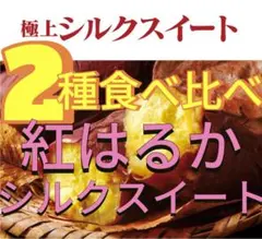 前期3000箱販売！食べ比べ！焼き芋屋さんのシルクスイートと紅はるかのセット