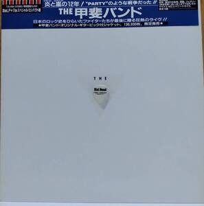 ☆ LP 甲斐バンド / The 甲斐バンド T30-1094 ☆