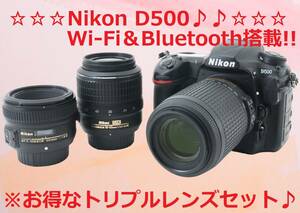 美品♪ Nikon D500 トリプルレンズ 単焦点 標準 超望遠 #5581