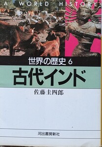 古代インド　佐藤圭四郎　河出文庫