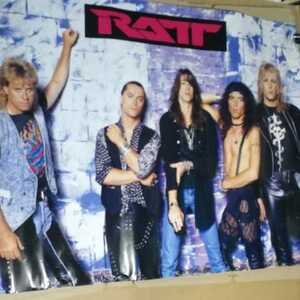 ポスター　ラット　A1サイズ　送料込み　RATT