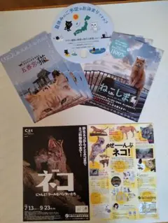 特別展ネコ　映画五香宮の猫　映画ねこしま　チラシ　　ヤマト営業所うちわ