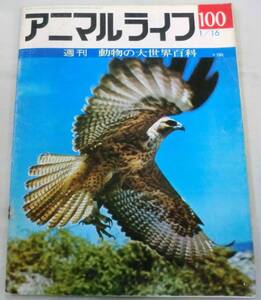 古書◆雑誌◆S48年 週刊アニマルライフ第１００号 ◆ ガラパゴスノスリ★ノガン★ノコギリエイ★ノトルニス★ノビタキ★ハイイロギツネ