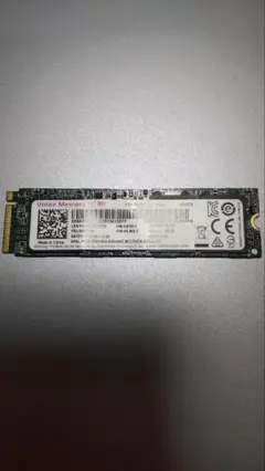 Union Memory M.2 SSD 256GB