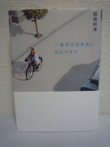 一億百万光年先に住むウサギ ★ 那須田淳 理論社 ◆ 湘南を舞台に描くかぎりなくイノセントな青春ストーリー