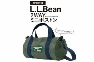 残1/LEE リー L.L.Bean エルエルビーン 2WAYミニボストン 2022年4月号 付録 限定 ボストンバッグ ポーチ ストラップ付 ショルダーバッグ