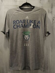 NIKE ナイキ Minnesota Lynx Tシャツ S グレー ミネソタリンクス 送料185円