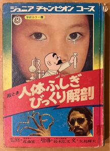 ジュニアチャンピオンコース　絵とき人体ふしぎびっくり解剖　学習研究社　カバー無し