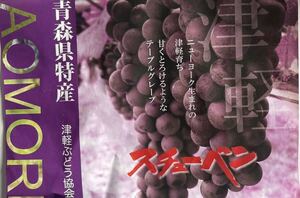 特別　限定企画　送料無料　スチューベン2キロ入り