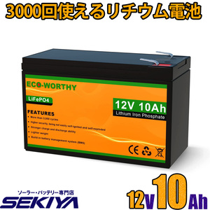 リン酸鉄リチウム電池 12v 10Ah 128Wh 3000回寿命 安全 BMS保護 軽量 コンパクト ディープサイクルバッテリー SEKIYA