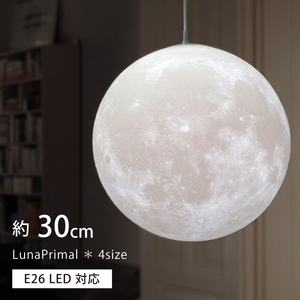 匠の誠品 ルナプライマル 30cm ペンダントライト LED ケーブル/1m カラー/黒 間接照明