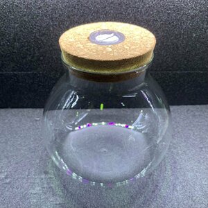 テラリウムボトル　Mサイズ　コルク蓋&LEDライト付き　1点　コケリウム　ガラス製　水槽　インテリア