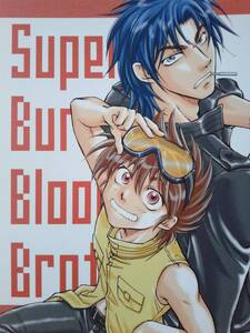 聖闘士星矢同人誌◆『Super Burning Blood Brothers』　星矢、一輝