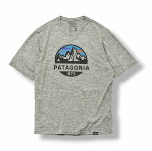 ★美品！ デカロゴ パタゴニア patagonia DAILY TECH Tシャツ XS グレー S／S ストレッチ素材 吸汗速乾 アウトドア ウェア STY45235SP19★