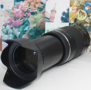 ミノルタ AF 75-300 mm ソニー aマウント用 超望遠レンズ