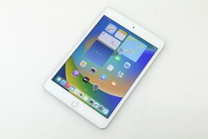 並品｜アップル iPad mini 7.9インチ 第5世代 Wi-Fi+Cellular 64GB SIMフリー MUX62J/A HA03-T1388-2G10