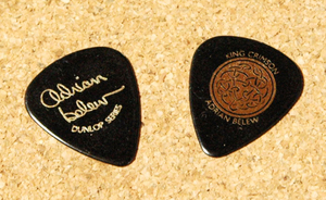 エイドリアン・ブリュー ピック 2枚セット Jim Dunlop / Adrian Belew / King Crimson Signature Pick