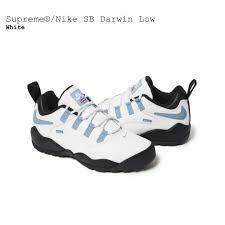 1円スタート 【新品/未使用/送料無料】 24SS Supreme Nike SB Darwin Low White シュプリーム ナイキ ダーウィン 25.5cm