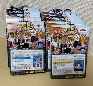 なめんなよ　カードコレクション2 なめ猫　カード　22枚付き×10束 