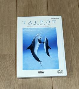 ＴＡＬＢＯＴ ＤＯＬＰＨＩＮＳ＆ＯＲＣＡＳ／ボブタルボット