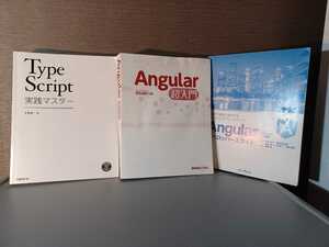 訳アリ　4冊セット　Typescript　Angular　アンギュラ