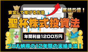 聖杯株式投資法 プロも納得の12年間の実績手法！ 株投資 トレーダー トレード手法 必勝法 デイトレード スイングが安心 スキャルピング以外