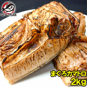 まぐろカマ 2kg! 塩をふって焼くだけで本当に旨い。抜群に脂がのったまぐろカマトロをたっぷりのボリュームで！