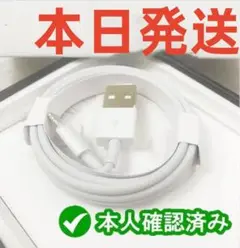 期間限定割引1本1m iPhone 充電器 ライトニングケーブル 純正品bgg