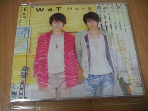 新品マキシ★WaT(小池徹平&ウエンツ英二)　「Hava Rava」